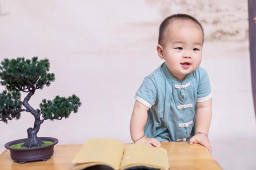 果洛可爱的企鹅宝宝
